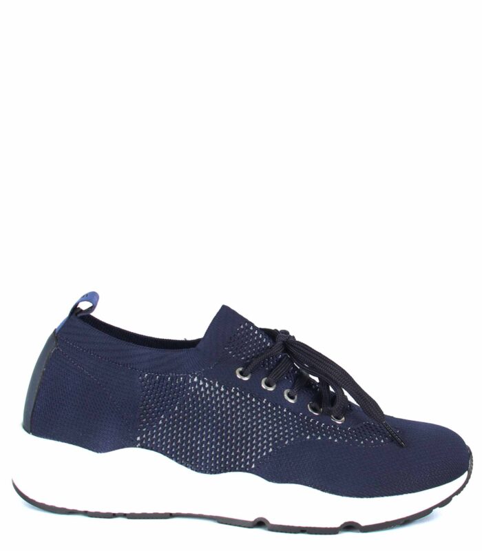Pollini - PB1529